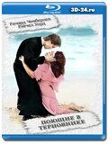 Поющие в терновнике (Blu-ray,блю-рей) 2 диска