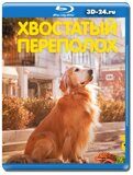 Хвостатый переполох (Blu-ray,блю-рей)