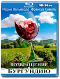 Возвращение в Бургундию (Blu-ray,блю-рей)