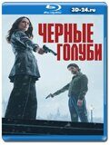 Чёрные голуби  (Blu-ray, блю-рей) 2 диска