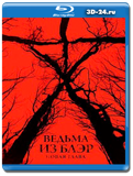 Ведьма из Блэр: Новая глава (Blu-ray, блю-рей)