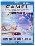 Camel: At the Royal Albert Hall (Blu-ray,блю-рей)