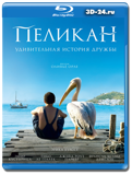 Пеликан (Blu-ray, блю-рей)