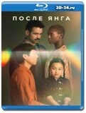 После Янга (Blu-ray,блю-рей)