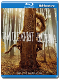 Там, где живут чудовища (Blu-ray, блю-рей)