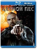 Цепной пёс 2020 (Blu-ray, блю-рей)