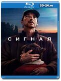 Сигнал (Blu-ray,блю-рей) 2 диска