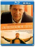 Облепиховое лето (Blu-ray,блю-рей)