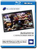 Bluscenes: Аквариум с Коралловым Рифом (Blu-ray, блю-рей)