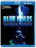 NGO: Погружение в лабиринт подводные пещеры (Blu-ray,...