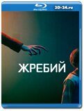 Жребий 2024 (Blu-ray, блю-рей)