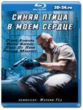 Синяя птица в моём сердце (Blu-ray,блю-рей)