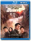 Бегущий в лабиринте  Испытание огнём (Blu-ray,...