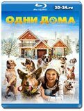 Одни дома 2021 (Blu-ray, блю-рей)